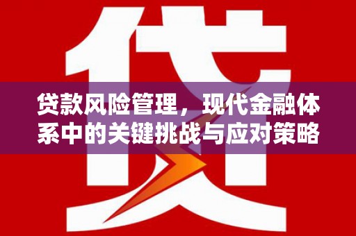镇康贷款风险管理，现代金融体系中的关键挑战与应对策略