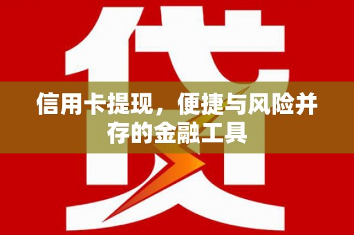 镇康信用卡提现，便捷与风险并存的金融工具