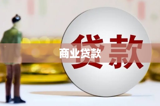 镇康商业贷款