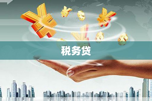 镇康税务贷
