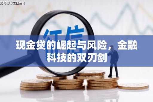 镇康现金贷的崛起与风险，金融科技的双刃剑