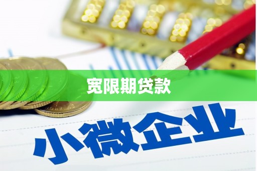 镇康宽限期贷款