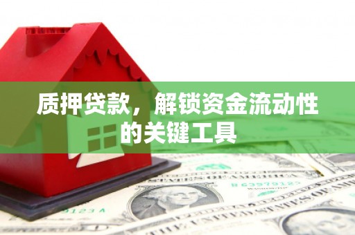 镇康质押贷款，解锁资金流动性的关键工具