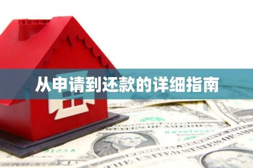 镇康从申请到还款的详细指南
