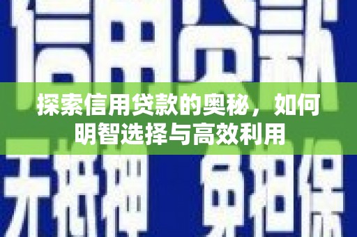 镇康探索信用贷款的奥秘，如何明智选择与高效利用