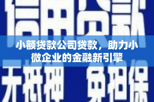 镇康小额贷款公司贷款，助力小微企业的金融新引擎