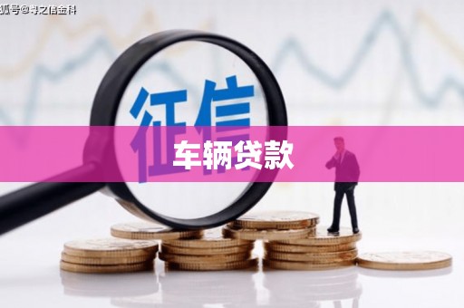 镇康车辆贷款