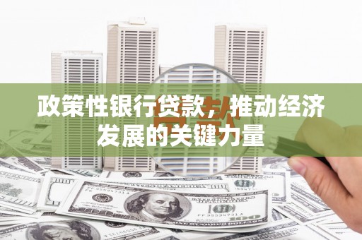 镇康政策性银行贷款，推动经济发展的关键力量