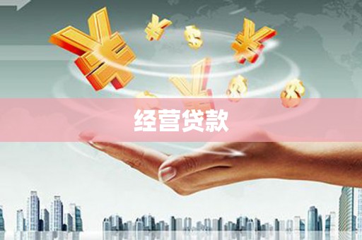 镇康经营贷款