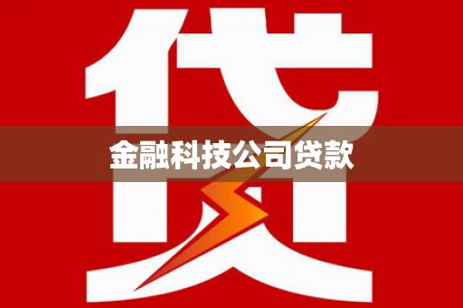 镇康金融科技公司贷款