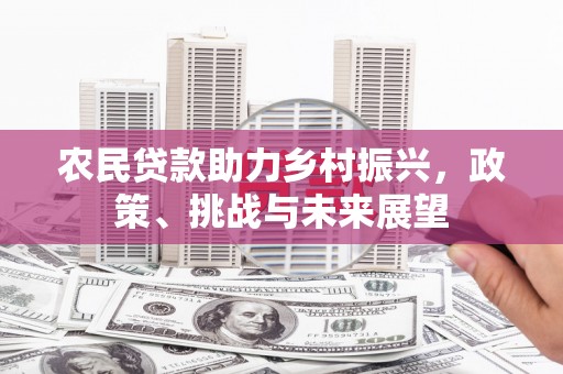 镇康农民贷款助力乡村振兴，政策、挑战与未来展望