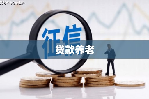 镇康贷款养老