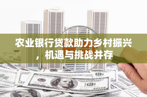 镇康农业银行贷款助力乡村振兴，机遇与挑战并存