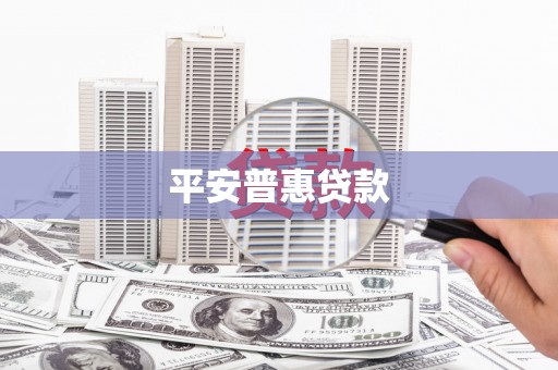 镇康平安普惠贷款