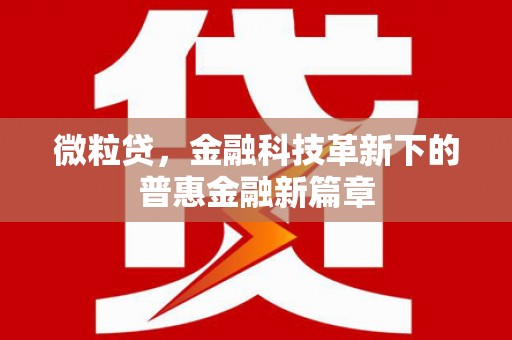 镇康微粒贷，金融科技革新下的普惠金融新篇章