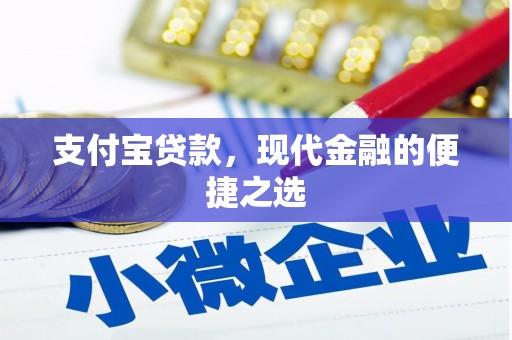 镇康支付宝贷款，现代金融的便捷之选