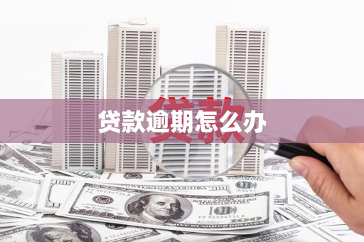 镇康贷款逾期怎么办