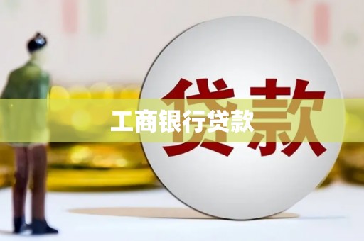 镇康工商银行贷款