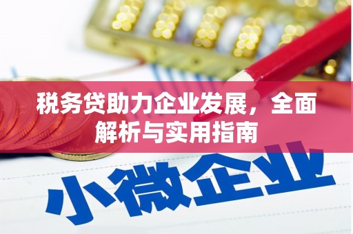 镇康税务贷助力企业发展，全面解析与实用指南