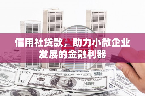 镇康信用社贷款，助力小微企业发展的金融利器