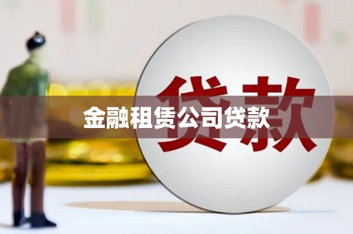 镇康金融租赁公司贷款