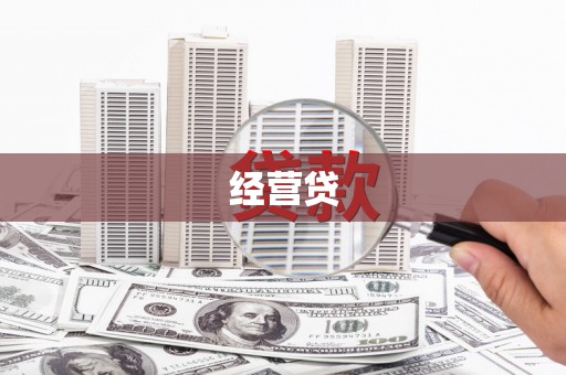 镇康经营贷