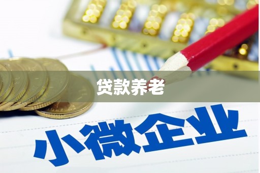 镇康贷款养老