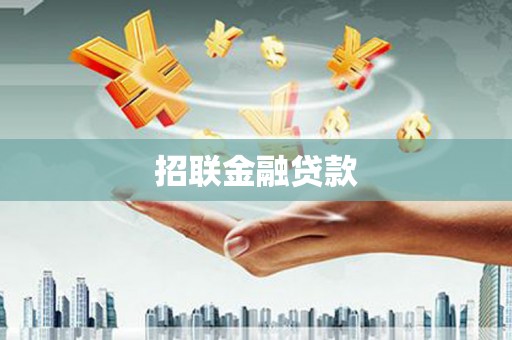 镇康招联金融贷款