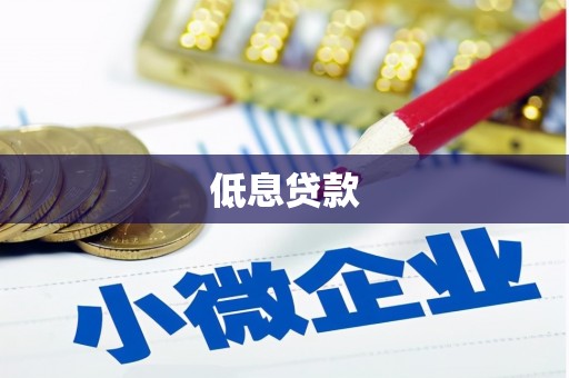 镇康低息贷款