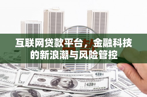 镇康互联网贷款平台，金融科技的新浪潮与风险管控