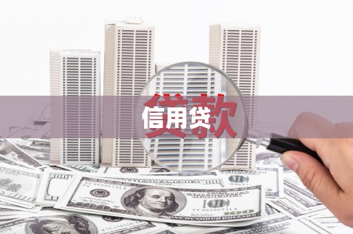 镇康信用贷