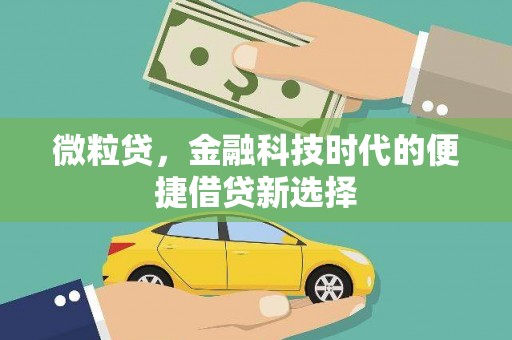 镇康微粒贷，金融科技时代的便捷借贷新选择
