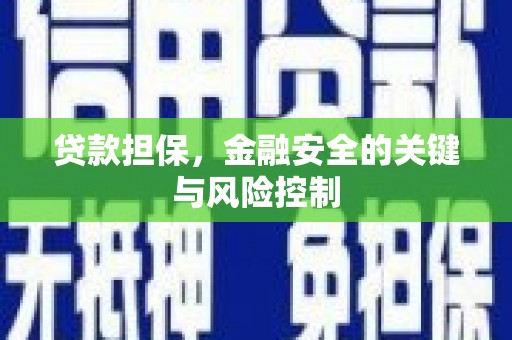 镇康贷款担保，金融安全的关键与风险控制