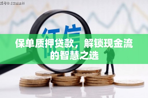 镇康保单质押贷款，解锁现金流的智慧之选