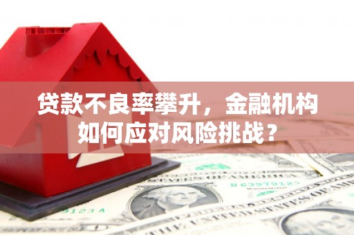 镇康贷款不良率攀升，金融机构如何应对风险挑战？