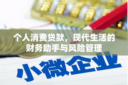 镇康个人消费贷款，现代生活的财务助手与风险管理