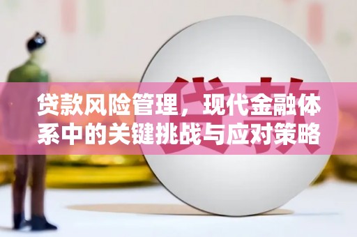 镇康贷款风险管理，现代金融体系中的关键挑战与应对策略