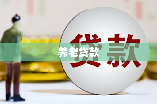 镇康养老贷款