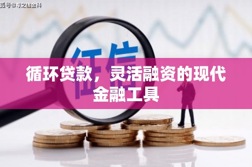 镇康循环贷款，灵活融资的现代金融工具