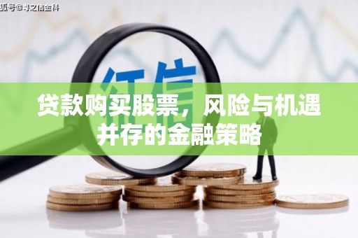 镇康贷款购买股票，风险与机遇并存的金融策略