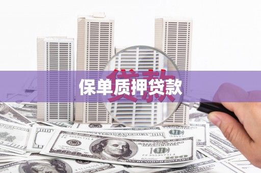 镇康保单质押贷款