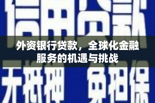 镇康外资银行贷款，全球化金融服务的机遇与挑战