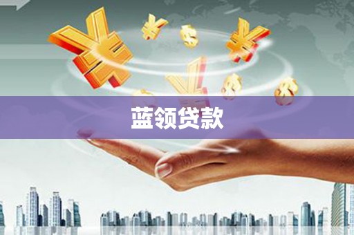 镇康蓝领贷款