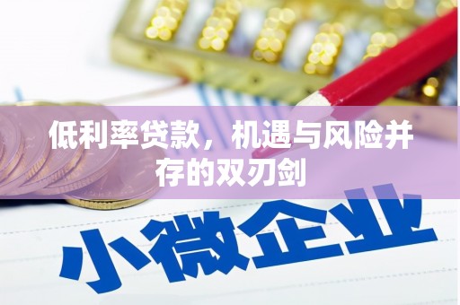 镇康低利率贷款，机遇与风险并存的双刃剑