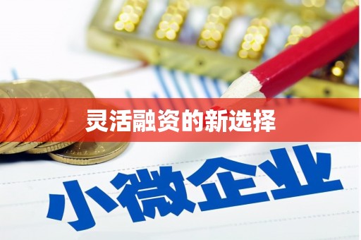 镇康灵活融资的新选择