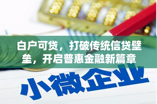 镇康白户可贷，打破传统信贷壁垒，开启普惠金融新篇章