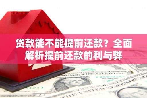 镇康贷款能不能提前还款？全面解析提前还款的利与弊