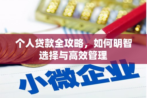 镇康个人贷款全攻略，如何明智选择与高效管理