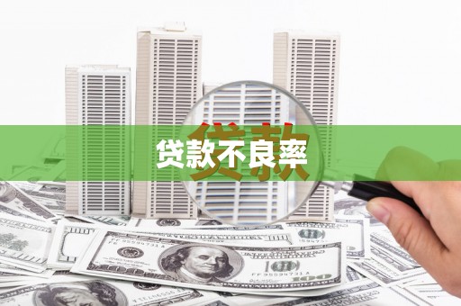 镇康贷款不良率
