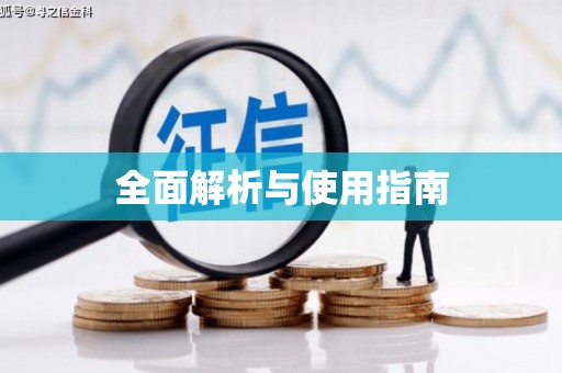 镇康全面解析与使用指南